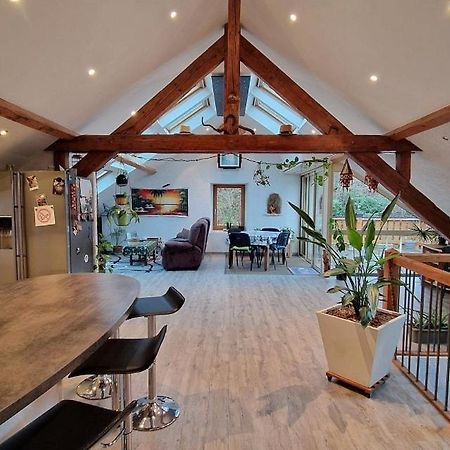 Bel Appartement 120 M² Tres Lumineux Avec Terrasse Morvillars Exteriér fotografie