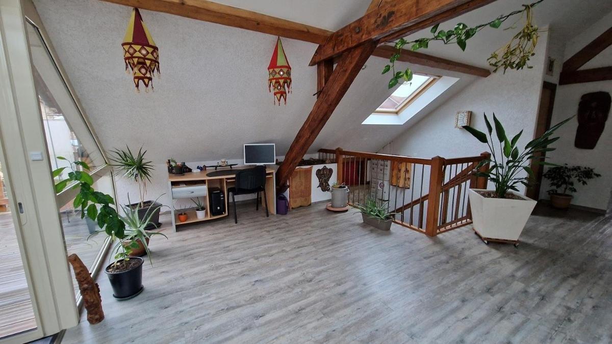Bel Appartement 120 M² Tres Lumineux Avec Terrasse Morvillars Exteriér fotografie
